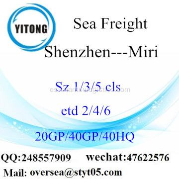 Flete mar del puerto de Shenzhen a Miri
